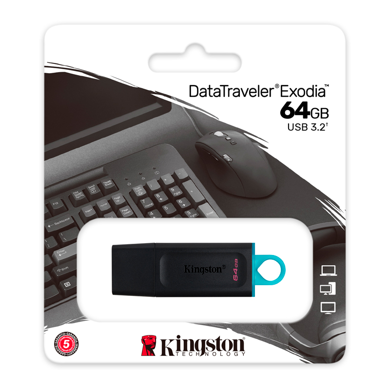 USB Kingston